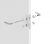ROSACE RONDE EASYCLIP - OPENTECH